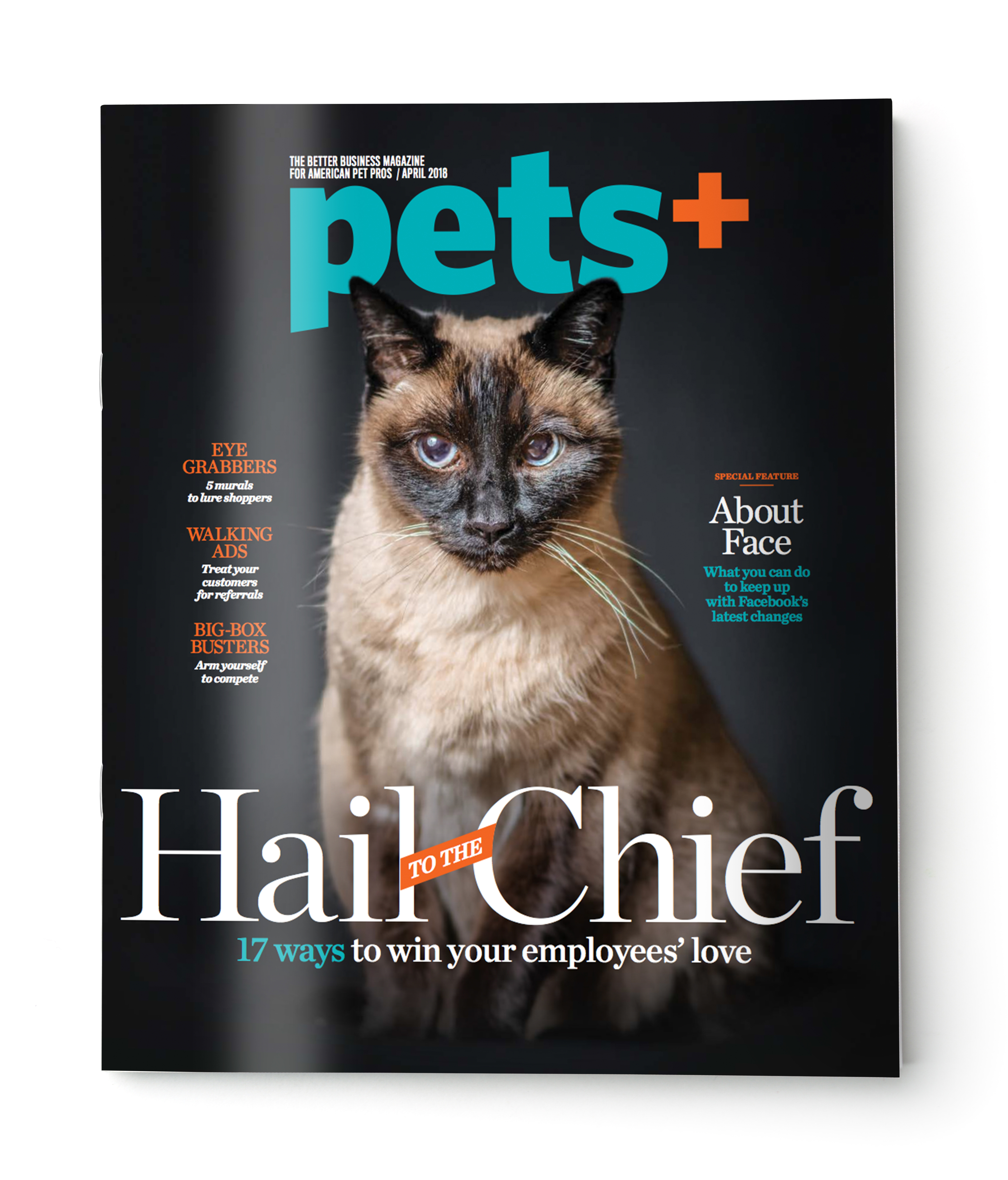 Blank grey brochure cover