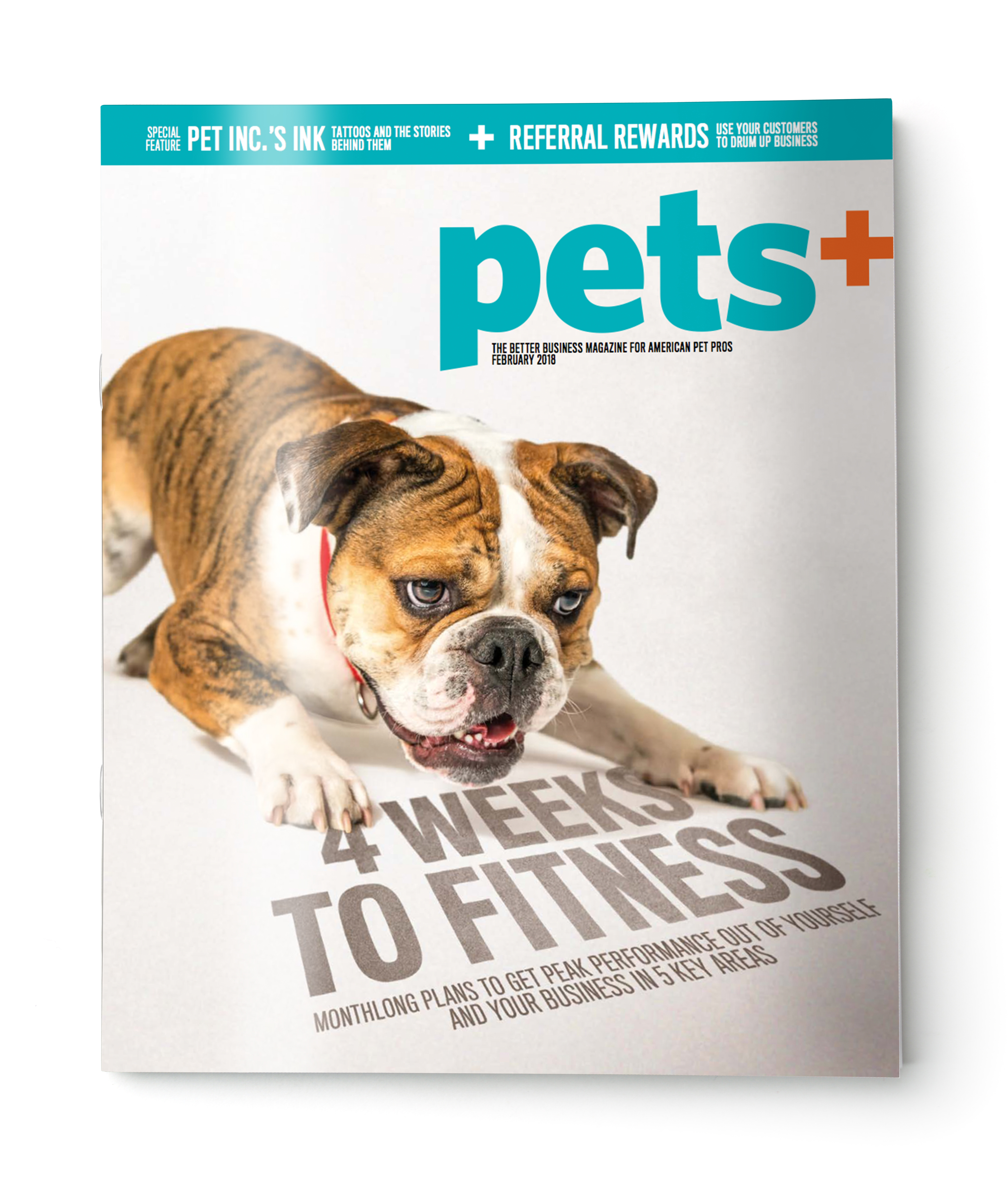 Blank grey brochure cover