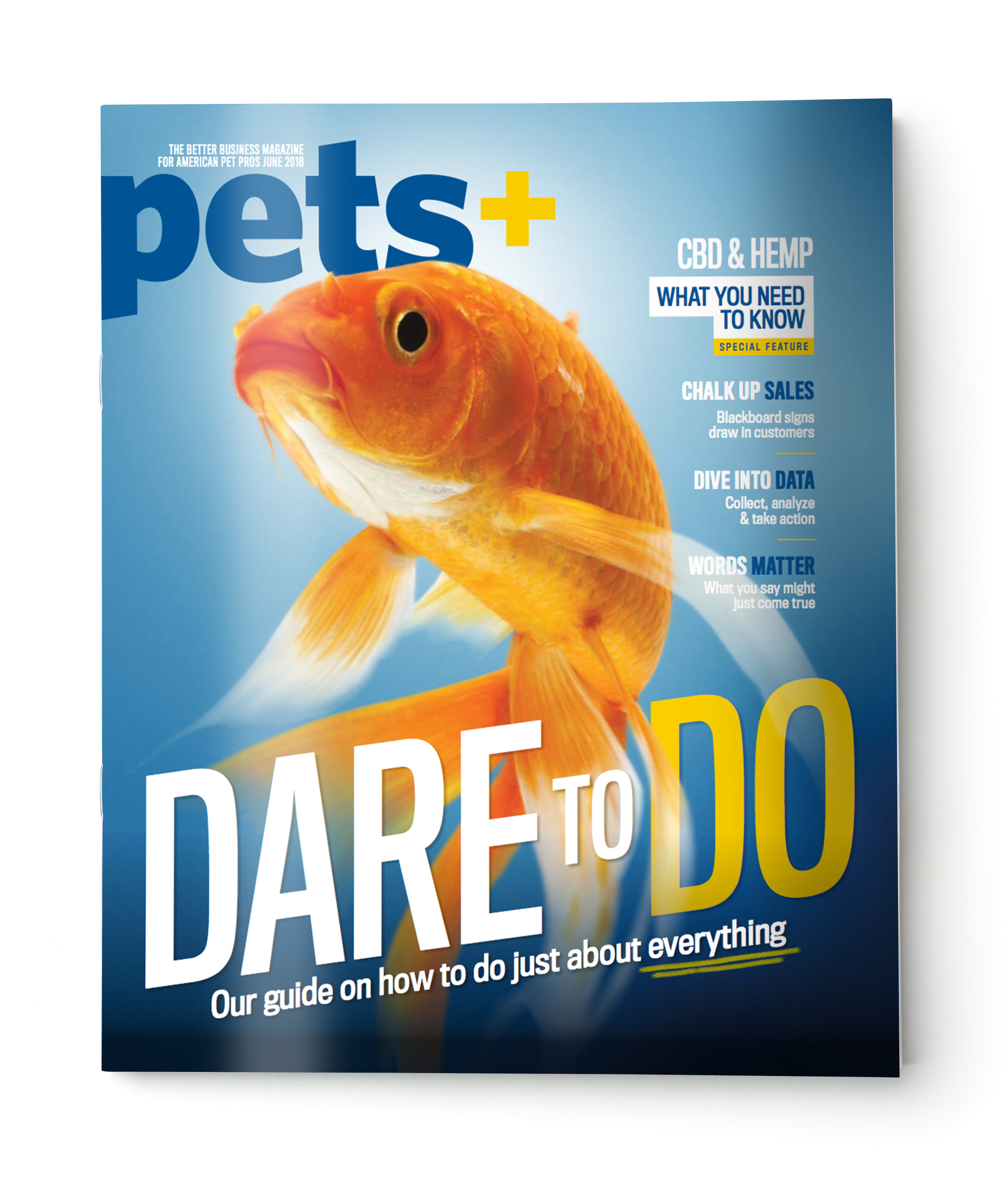 Blank grey brochure cover