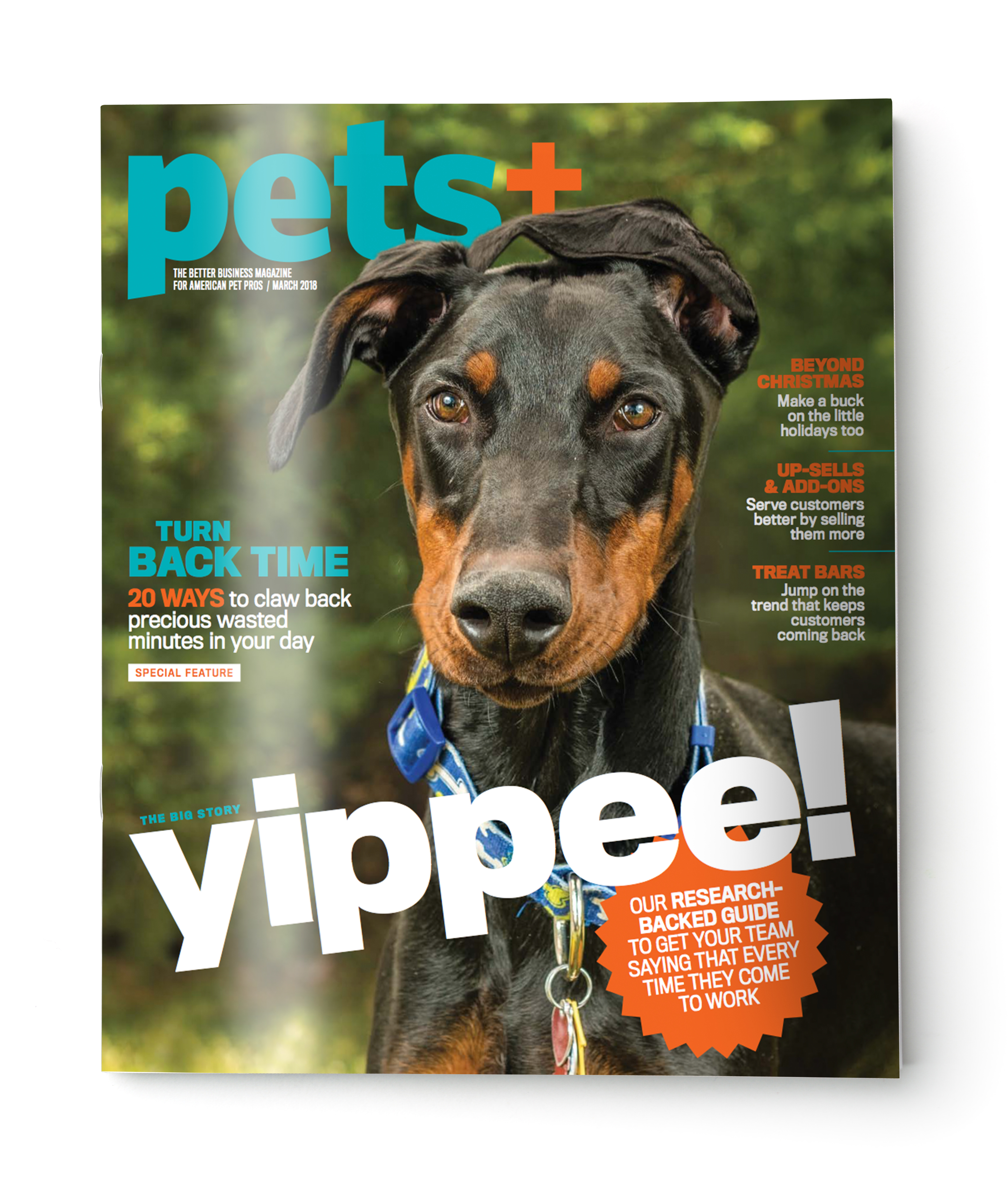 Blank grey brochure cover