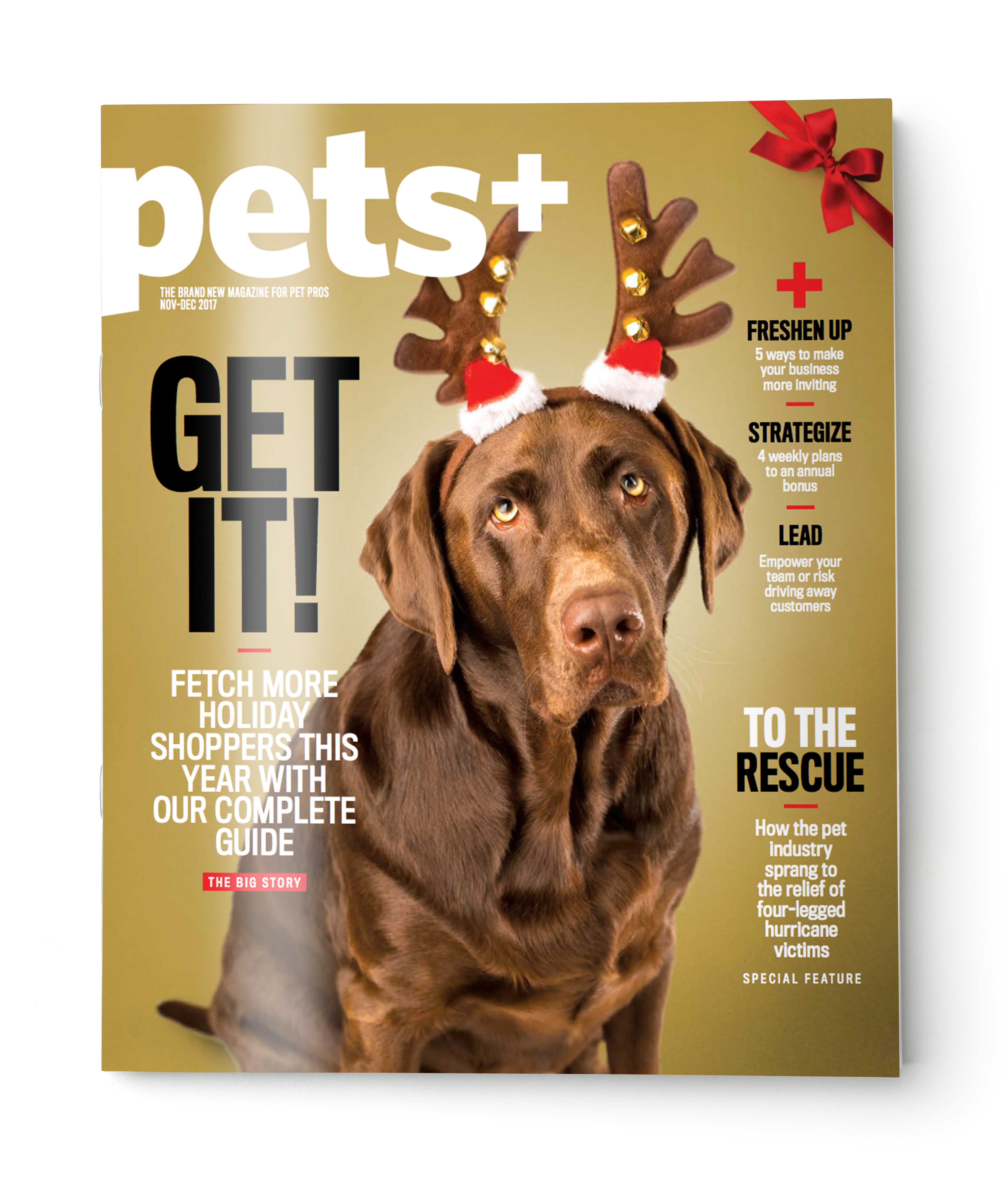 Blank grey brochure cover