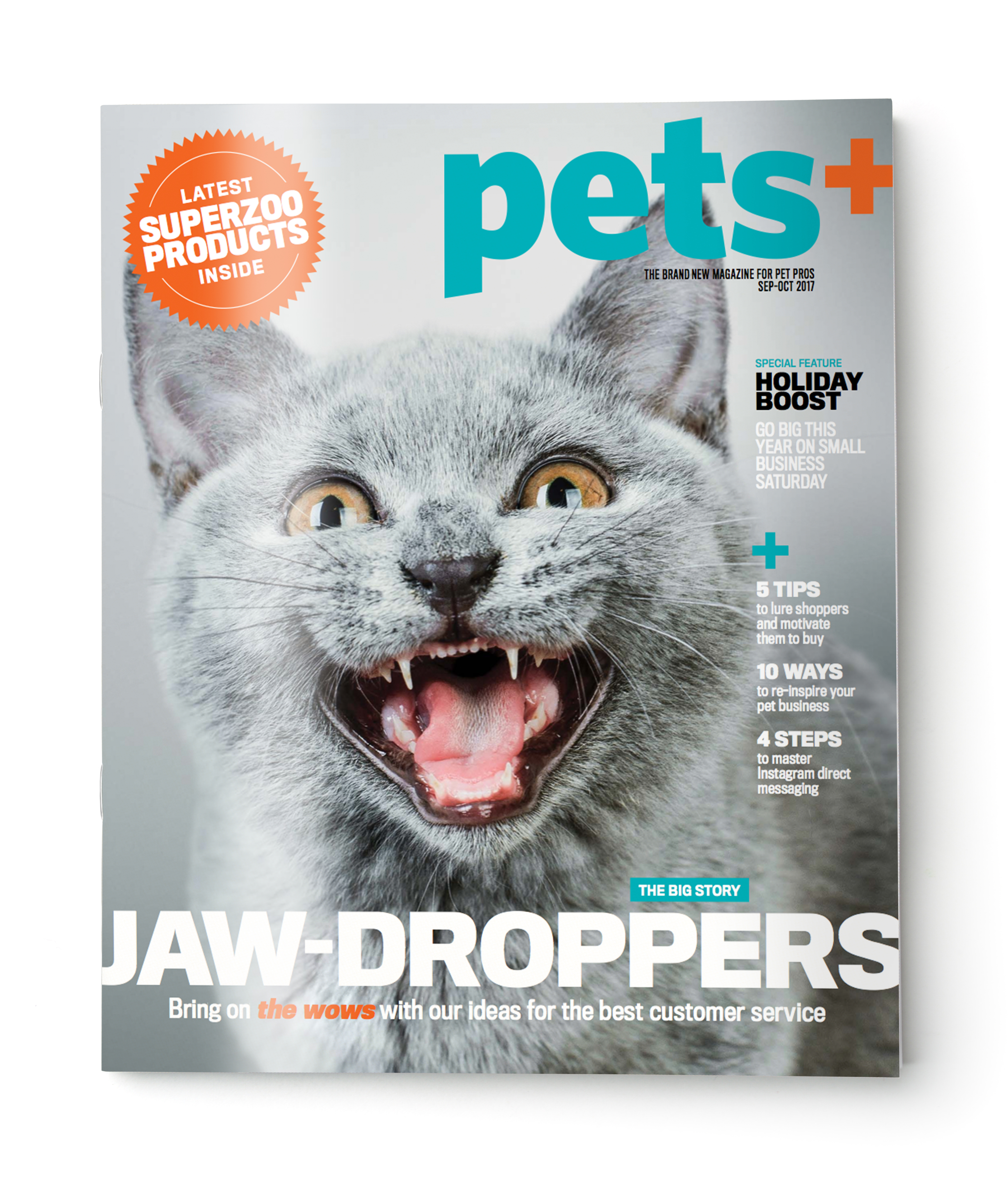 Blank grey brochure cover